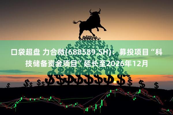口袋超盘 力合微(688589.SH)：募投项目“科技储备资金项目”延长至2026年12月