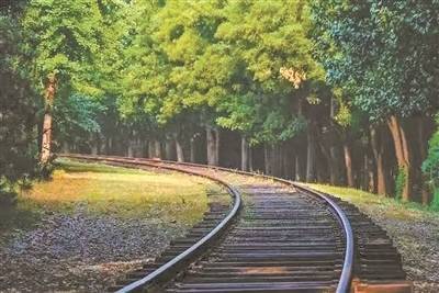 爱优配 在小众高颜值的将府公园里领略森系美学